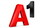 A1 